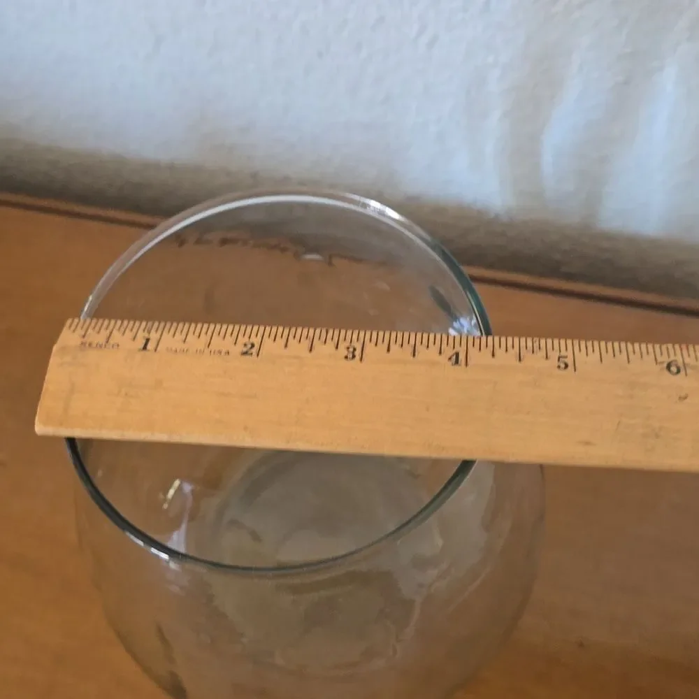 BLOWN GLASS  TERRARIUM - or VASE -  approx 6 inches tall